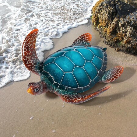 ★Original ART ‘Turtle’ 812bt-Qy-fL._UF894,1000_QL80_.jpg